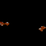 Płuco barbarzyńców