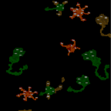 Plasawica Huntingtona