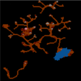 Bezkrólewie Raemunon