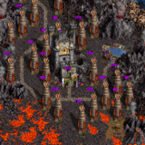 Shadows of the Forest