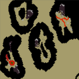 Powstanie Królestw Południa