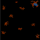 Archipelago