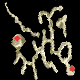 Island of the lizard king