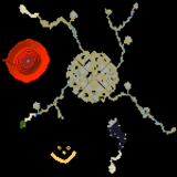 Restoration of Glory