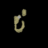 The Battle for the Lost City